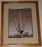 Landscape: image 2 0f 9 thumb
